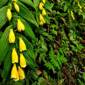 Thumbnail of post image 077
