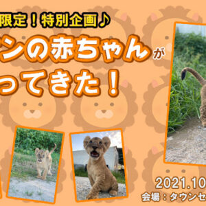 Thumbnail of post image 071