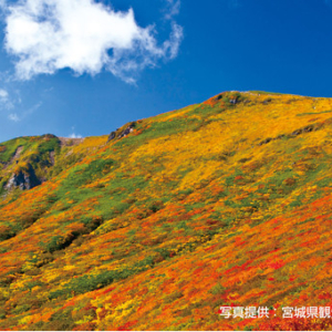 Thumbnail of post image 132