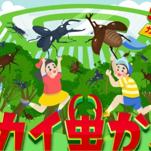 Thumbnail of post image 018