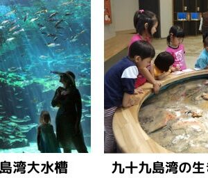 Thumbnail of post image 075
