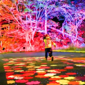 Thumbnail of post image 100