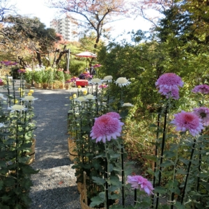 Thumbnail of post image 141