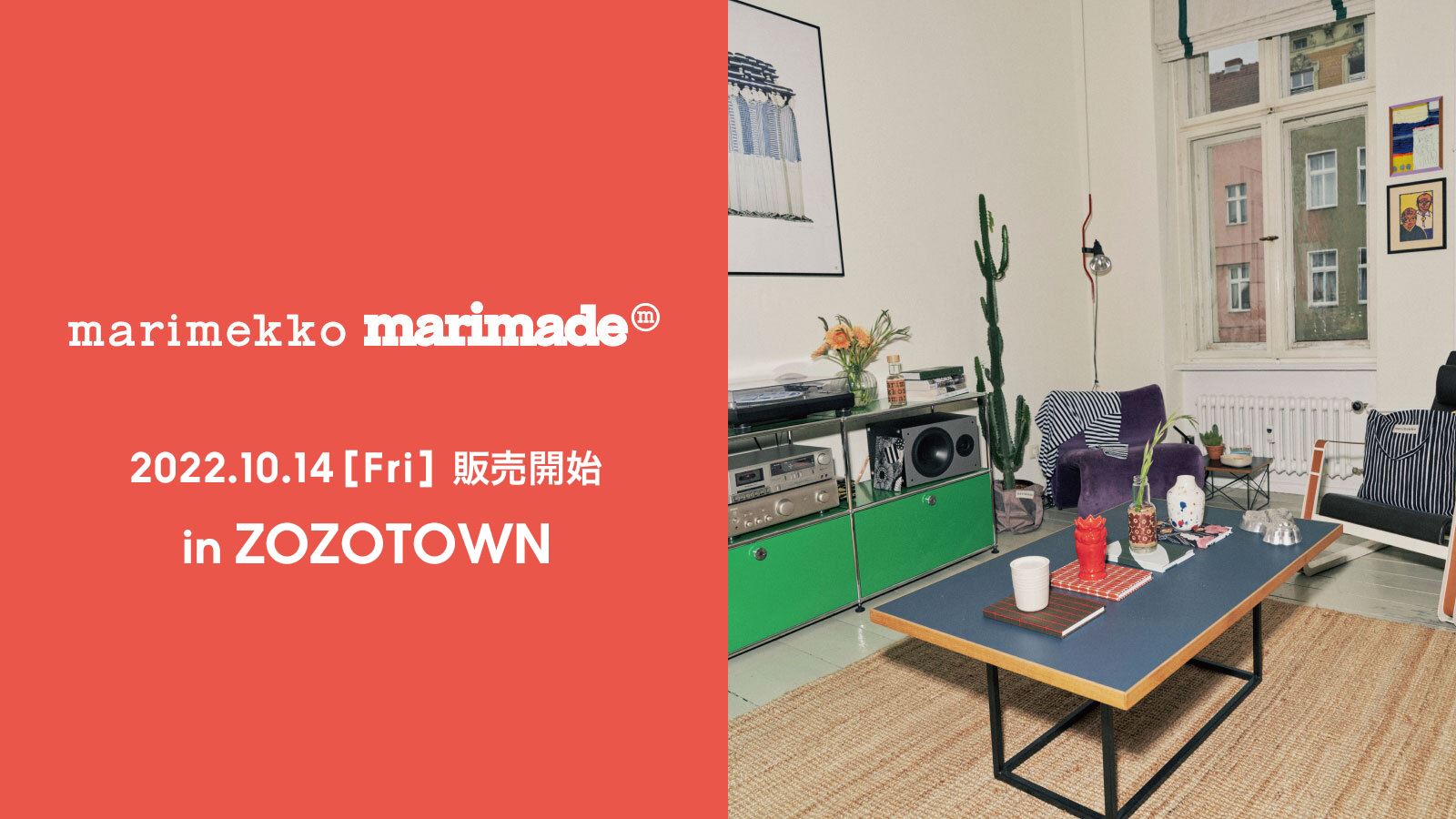 ネプレソルのリーフレット