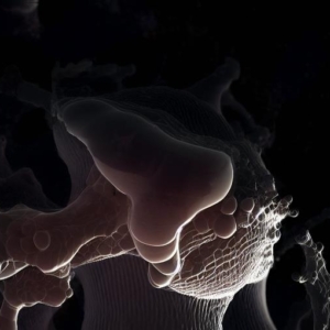 Thumbnail of post image 173