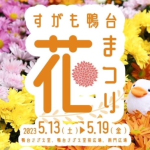 Thumbnail of post image 071