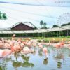Thumbnail of new posts 133