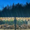 Thumbnail of new posts 154