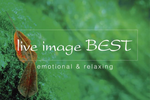 Thumbnail of post image 098