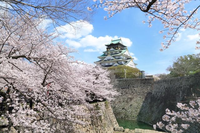 Thumbnail of post image 174