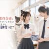 Thumbnail of new posts 034